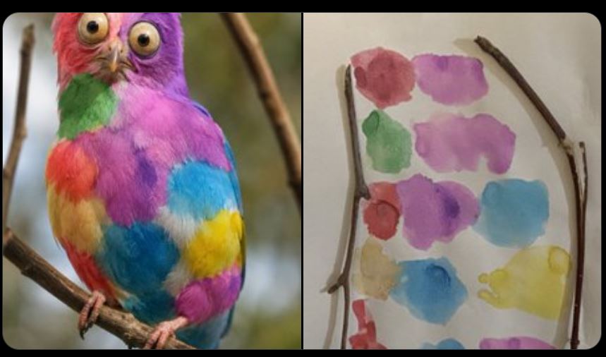 Paint Pigeon
